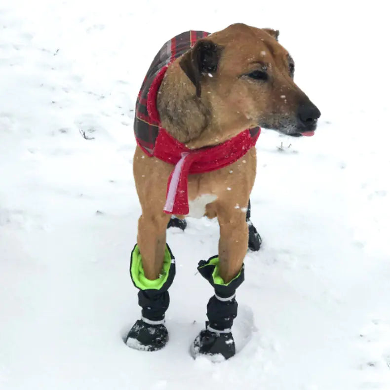 Waterproof and Snowproof Pet Shoes for Dogs